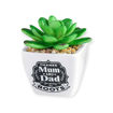 Picture of SUCCULENTS SENTIMENT MUM & DAD